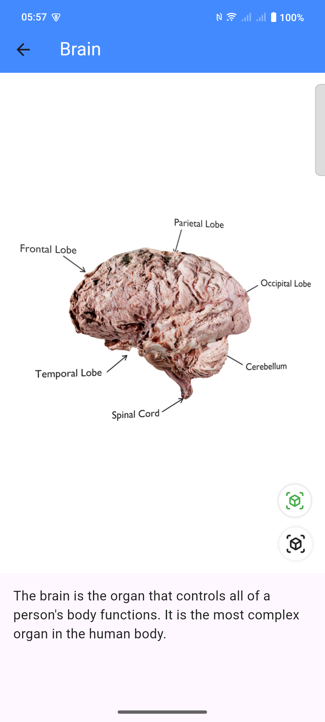 AR Anatomy Model