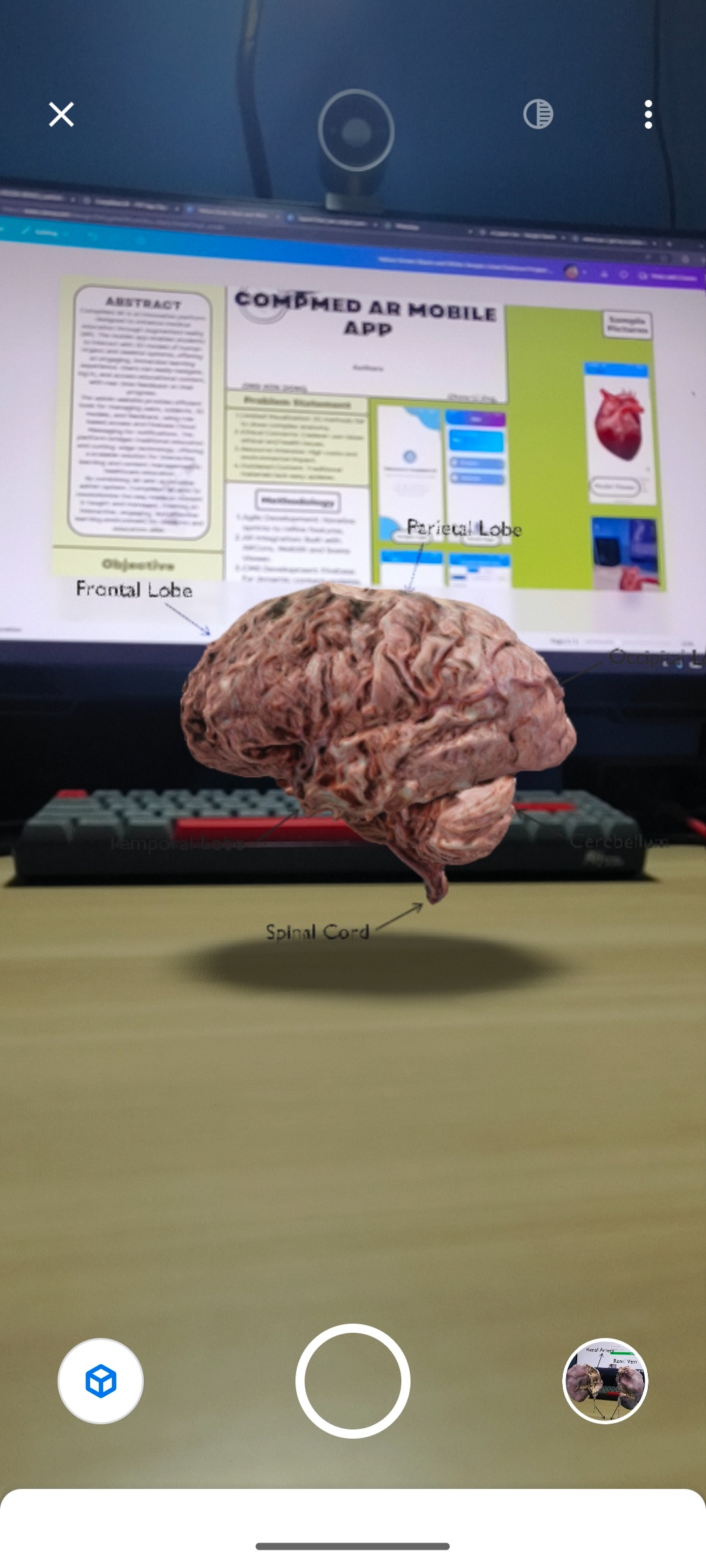 3D Interaction